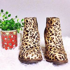Jeffrey Campbell Nation Leopard Ankle Booties